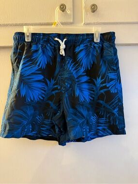 Brisira Men’s Swim Trucks Quick Dry 5”